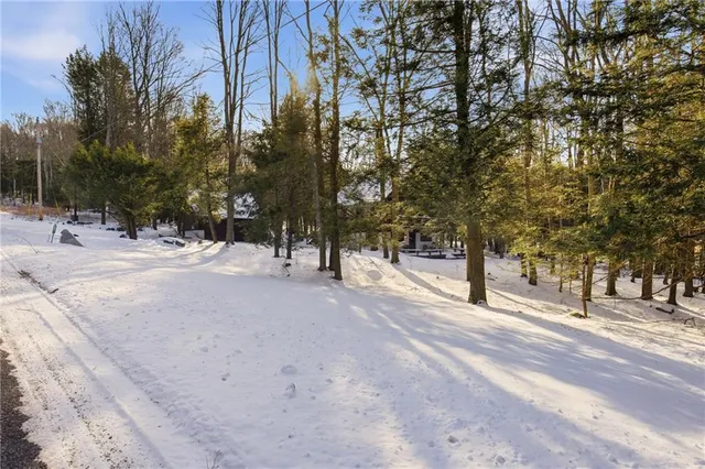 a view of road and trees