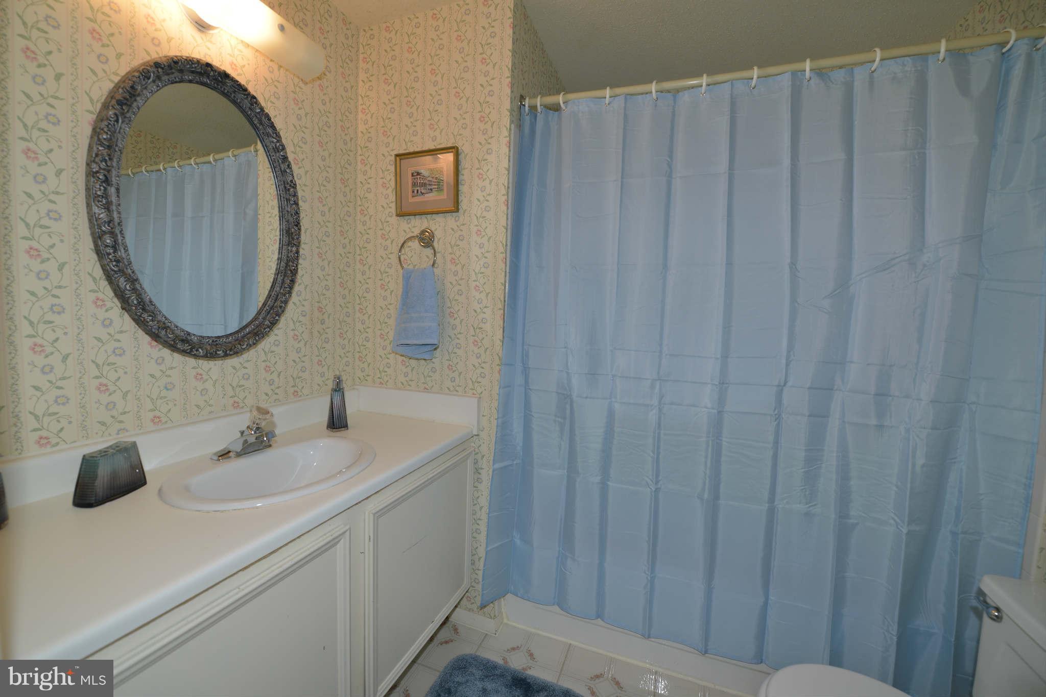 5911 Freds Oak Road Burke, VA 22015 - Photo 15 of 21 Hall Bath