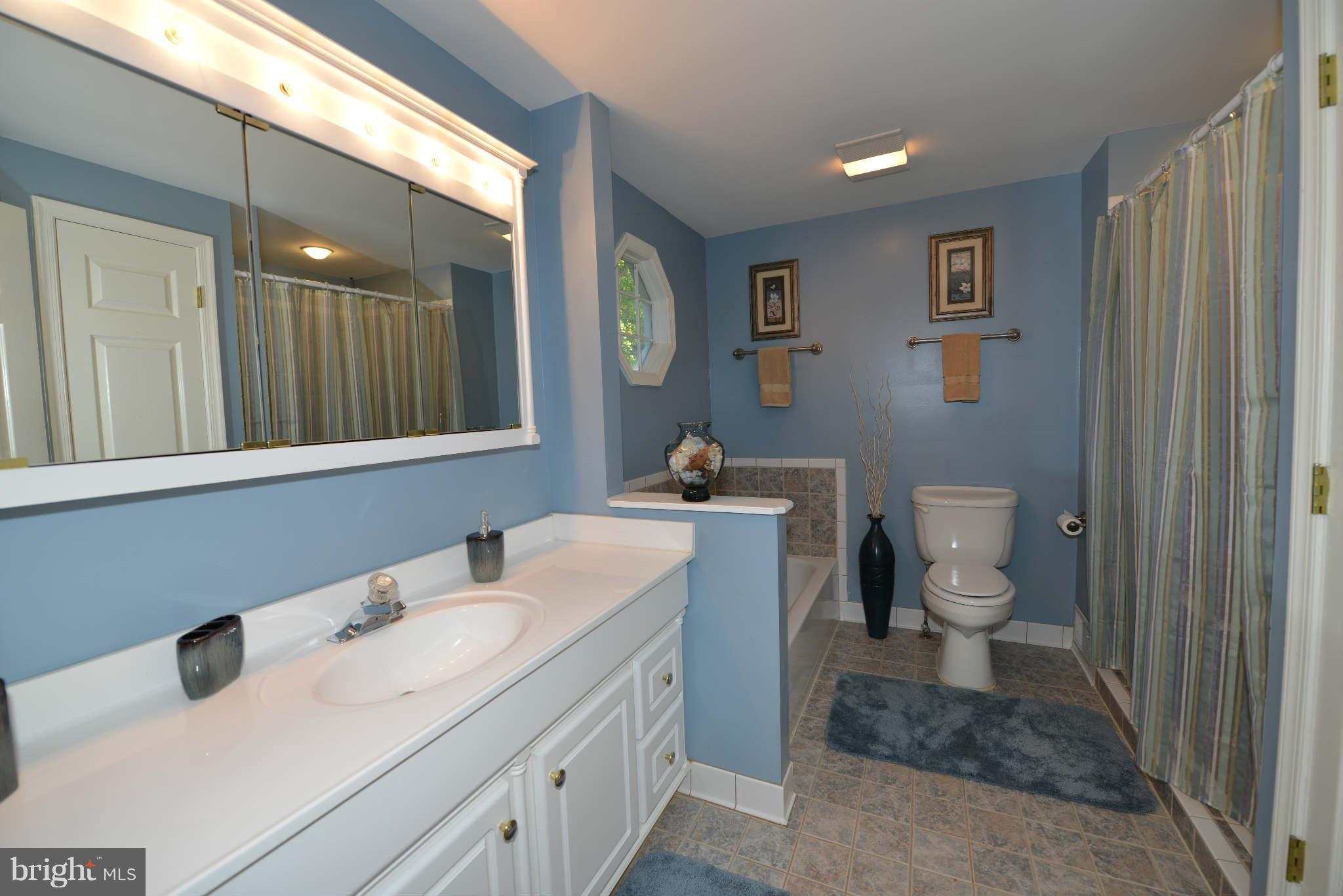 5911 Freds Oak Road Burke, VA 22015 - Photo 10 of 21 Bath (Master)