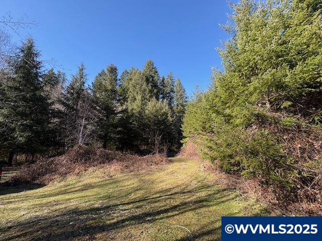 0 Steer Creek Road Blodgett, OR 97326 - Photo 13 of 14