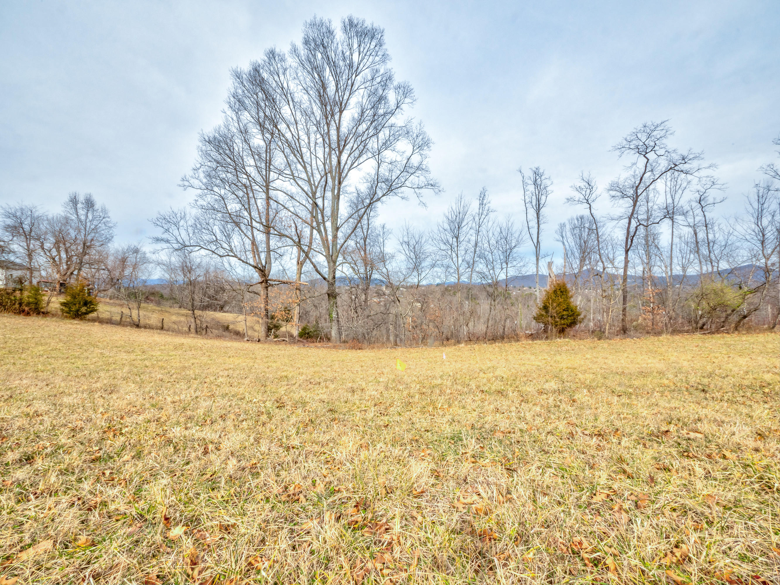 2824 Highland Road Roanoke, VA 24014 - Photo 8 of 22 07_2824_Highland_Ave07_mls