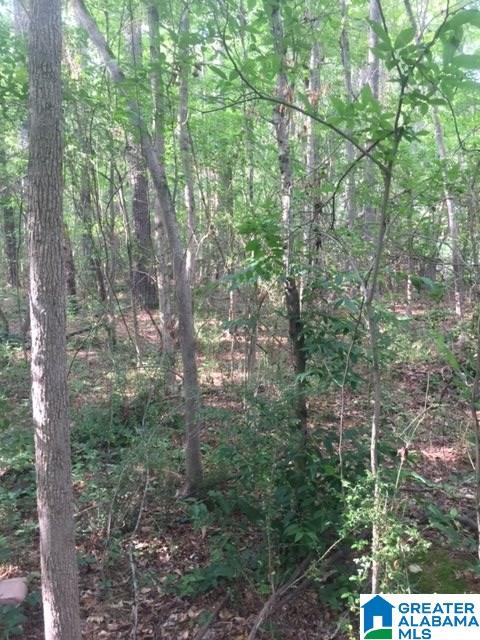 0 Mays Bend Road, Unit 26 Pell City, AL 35128 - Photo 7 of 16
