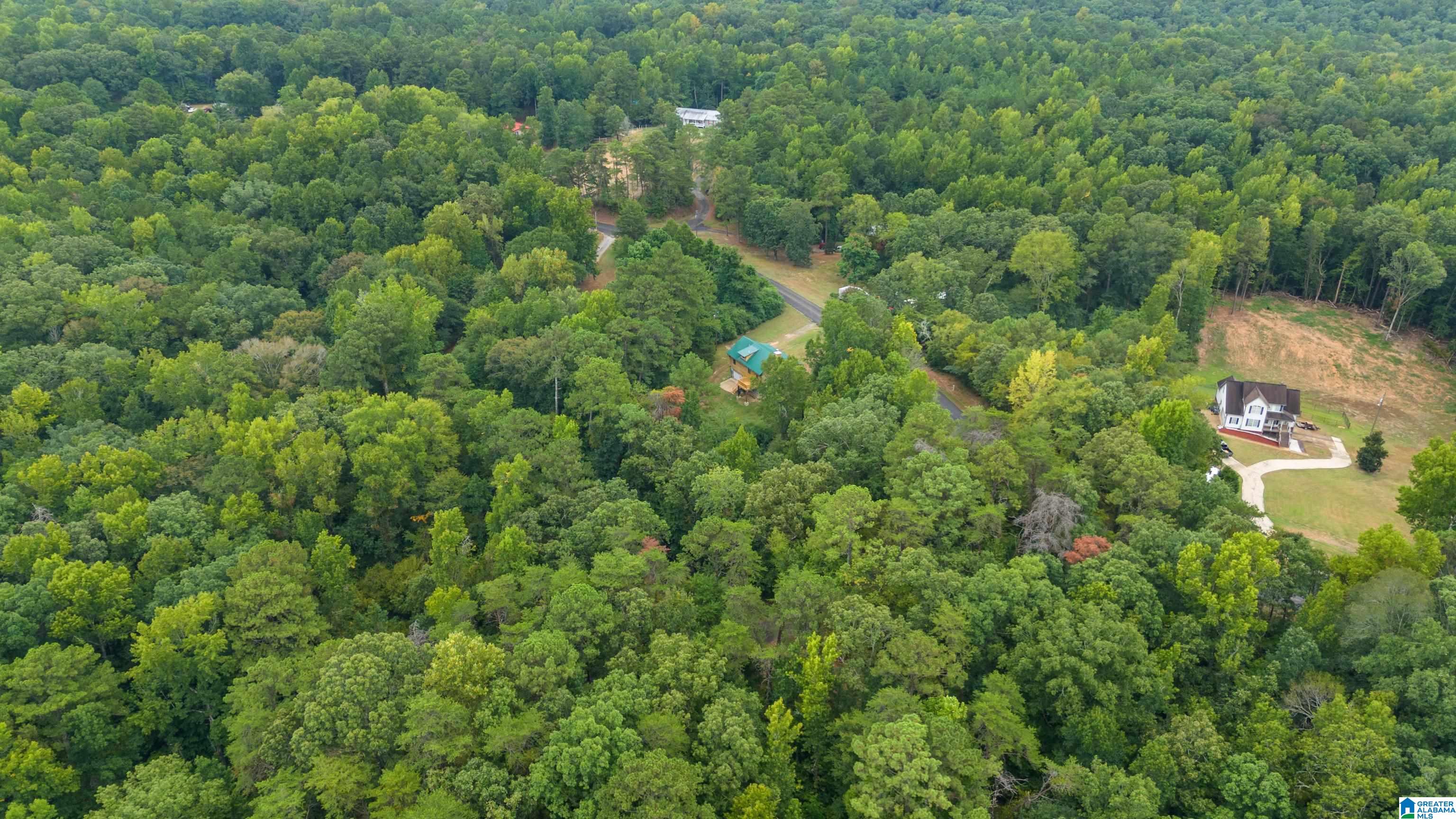 8901 Camp Piers Road Bessemer, AL 35023 - Photo 43 of 43