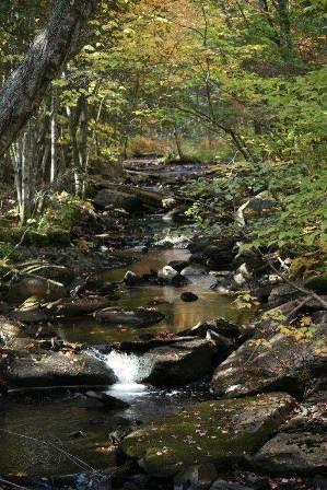 1 Pine Road Sandy River Plt, ME 04970 - Photo 3 of 21 Photo