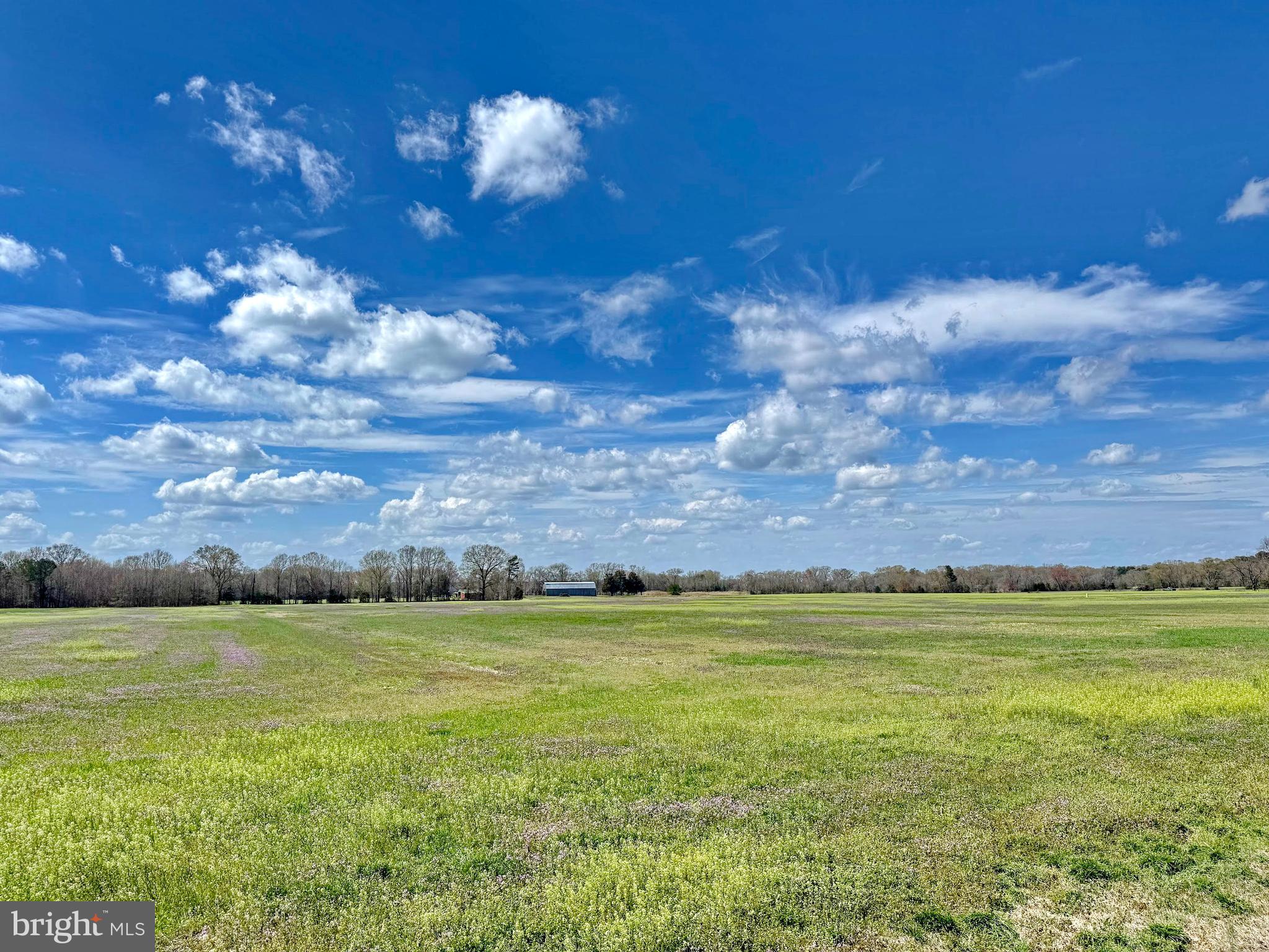 13922 River Road Newburg, MD 20664 - Photo 44 of 81