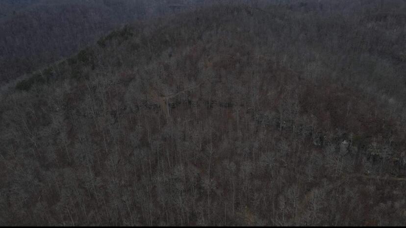 9999 Houston Broughton Road Flat Lick, KY 40935 - Photo 19 of 22 IMG_3460