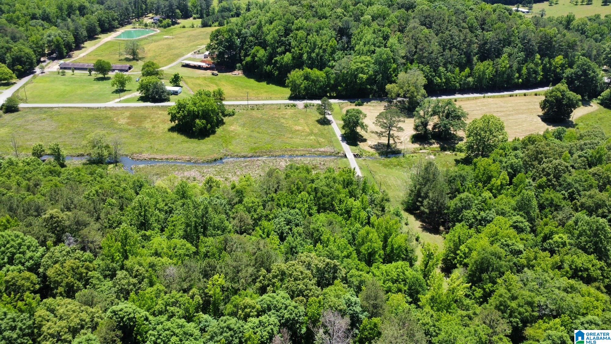 1097 Gnatville Road Piedmont, AL 36272 - Photo 72 of 79