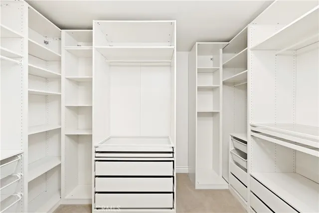 a view of an empty room with a walk in closet