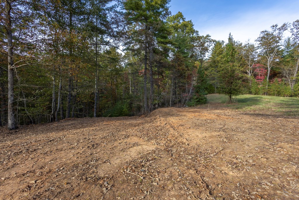300 Springbrook Lane Murphy, NC 28906 - Photo 33 of 39 Gallery Image 33