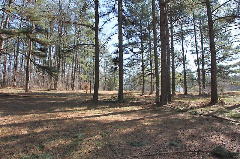 3040 Banks Road Raleigh, NC 27603 - Photo 10 of 13 Photo 10