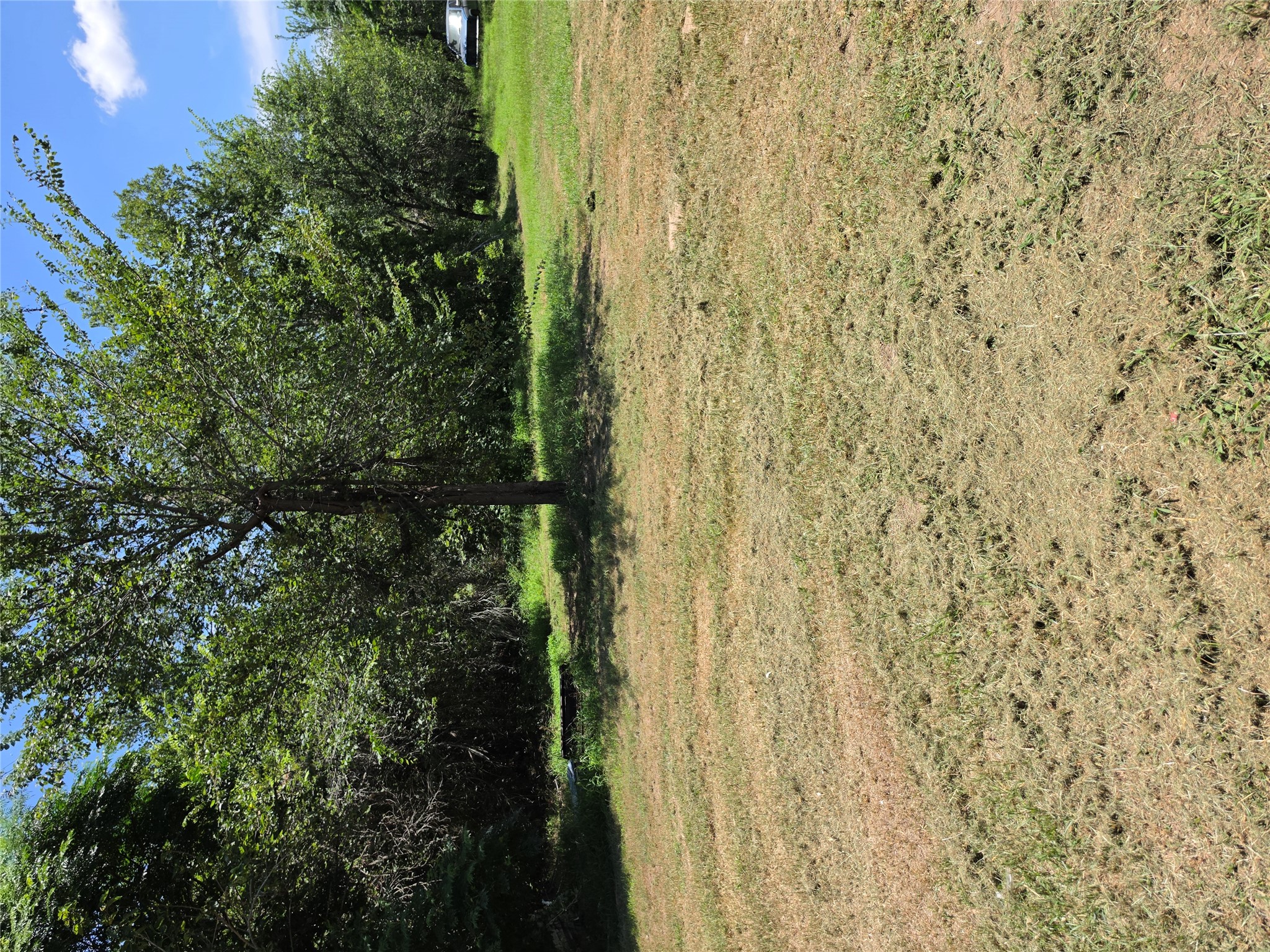 711 2nd Street East Elgin, TX 78621 - Photo 7 of 7 A verdant parcel offers abundant space and established tree cover for a future residence.