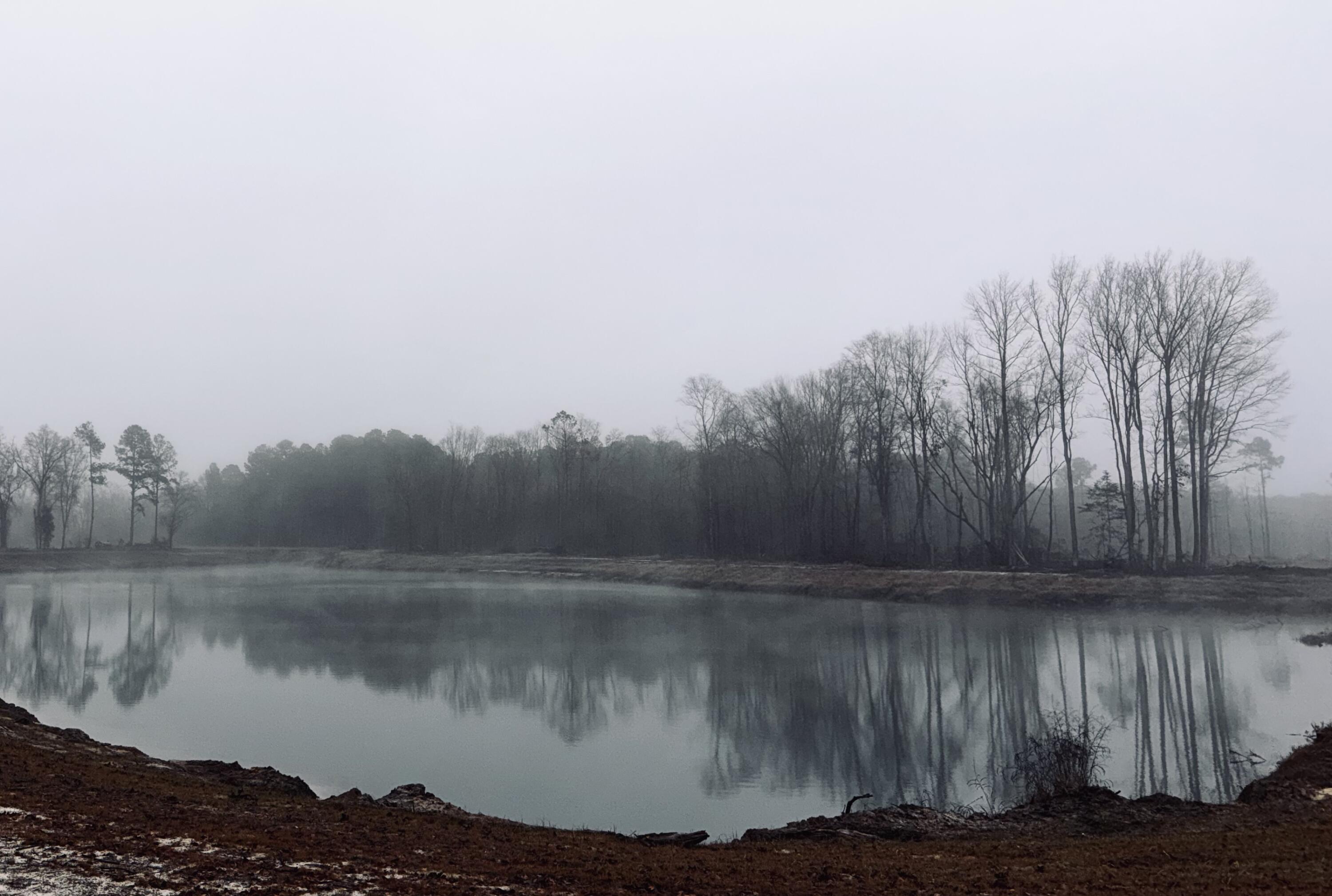 573 Sandridge Road Dorchester, SC 29437 - Photo 14 of 22 IMG_7308