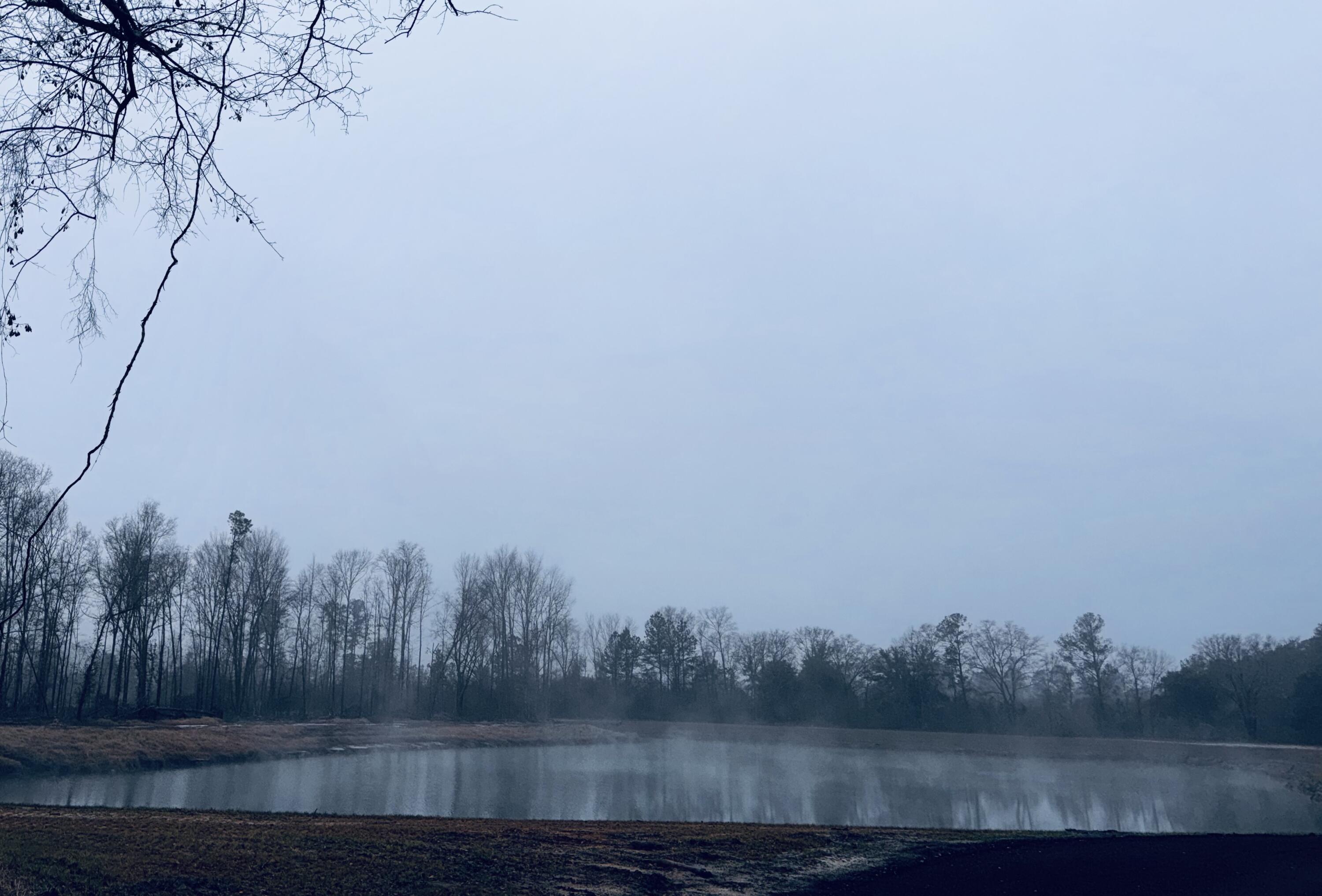 573 Sandridge Road Dorchester, SC 29437 - Photo 16 of 22 IMG_7303