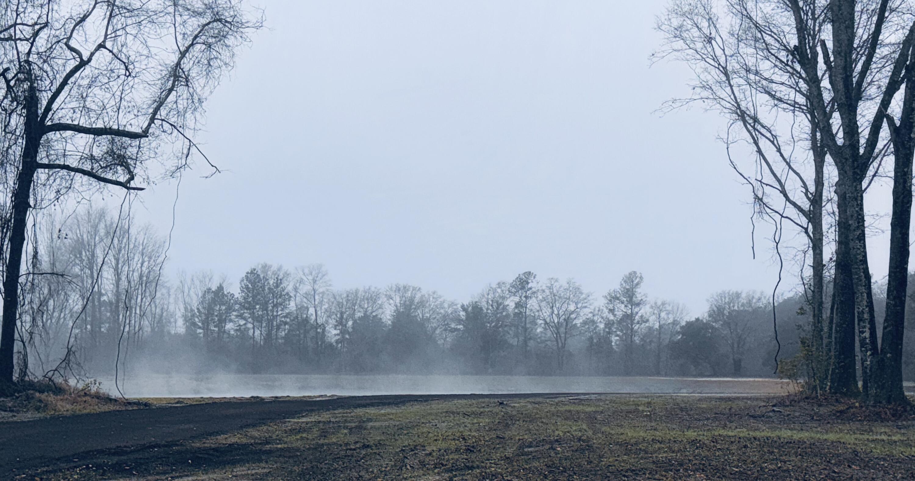 573 Sandridge Road Dorchester, SC 29437 - Photo 17 of 22 IMG_7302