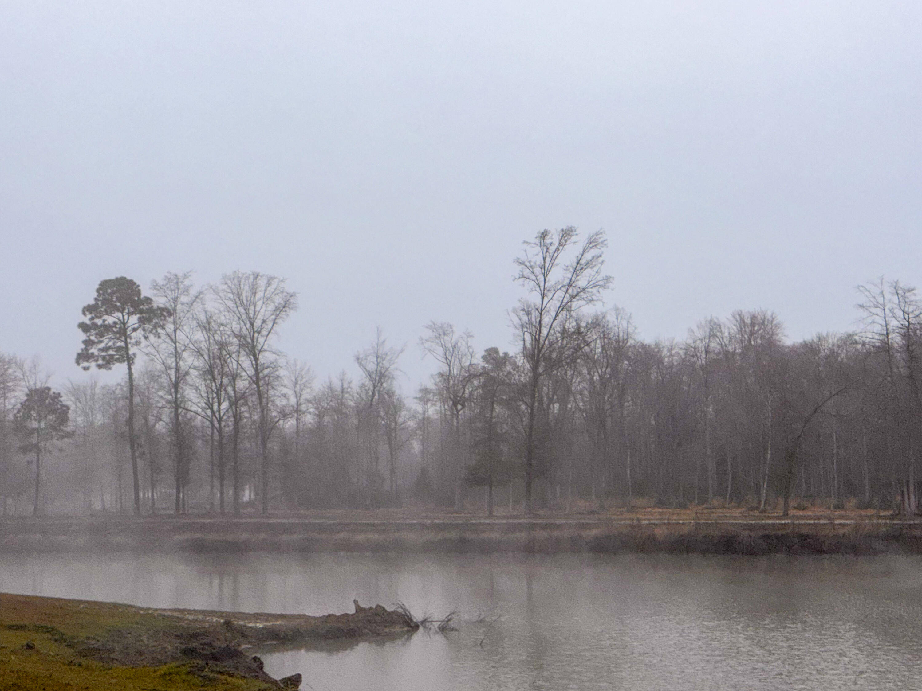 573 Sandridge Road Dorchester, SC 29437 - Photo 9 of 22 IMG_7319