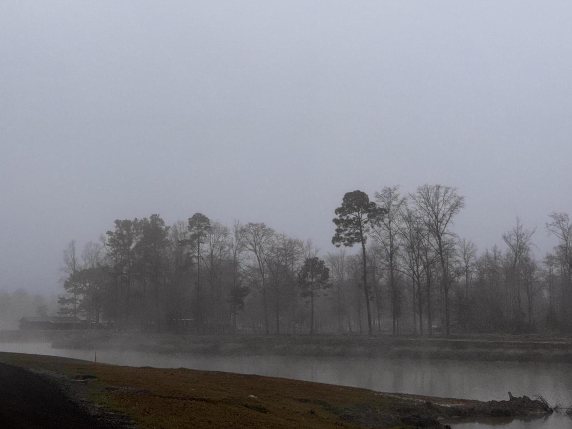 573 Sandridge Road Dorchester, SC 29437 - Photo 10 of 22 IMG_7318