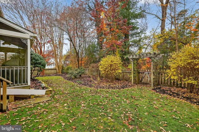 a view of a yard with plants and trees