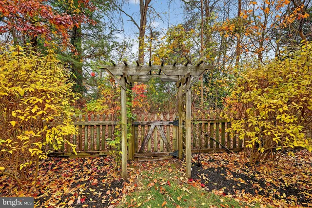 a view of a yard with plants and wooden fence