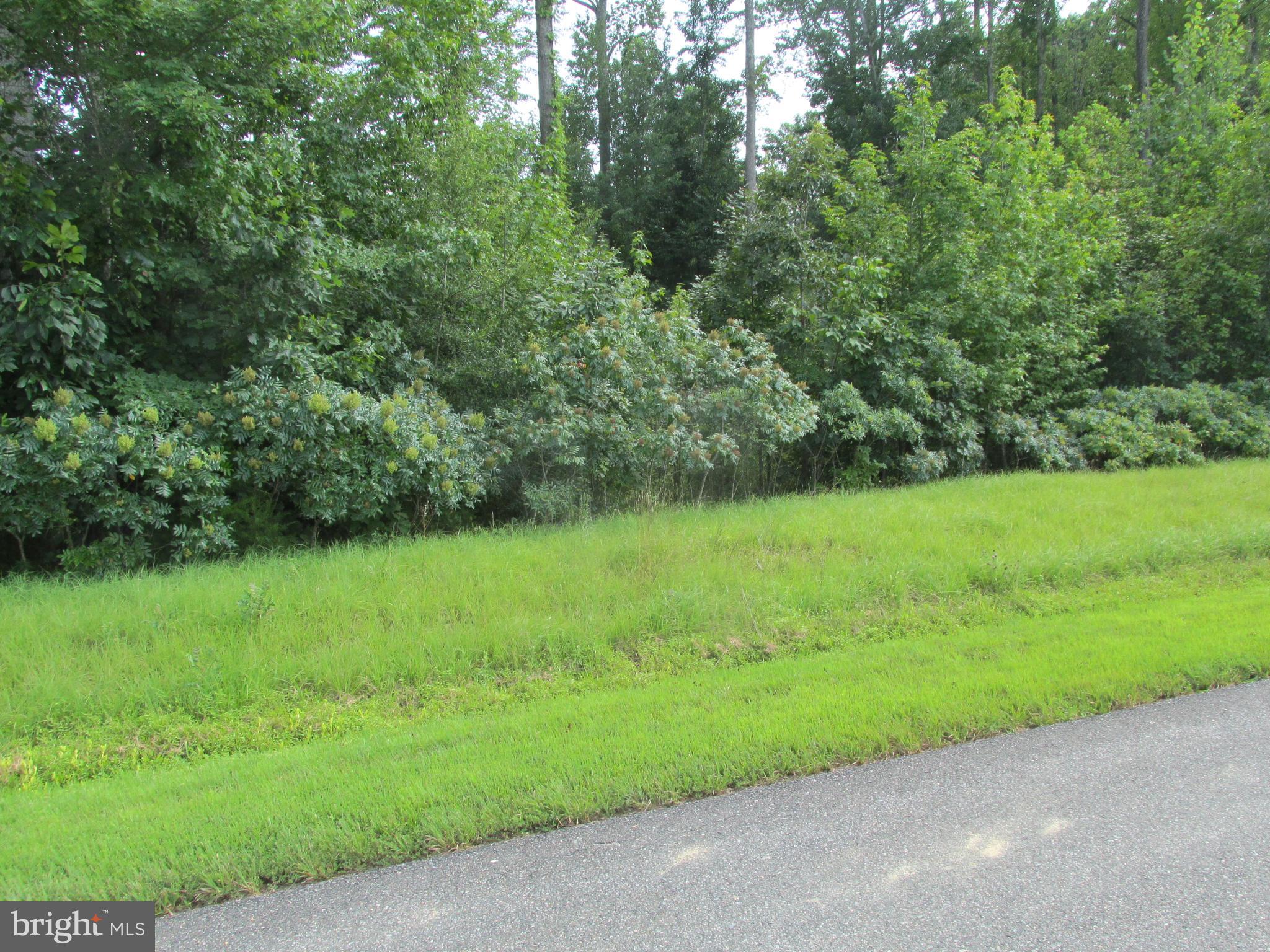 Blue Sky Way Bumpass, VA 23024 - Photo 2 of 4 a view of a garden with a tree