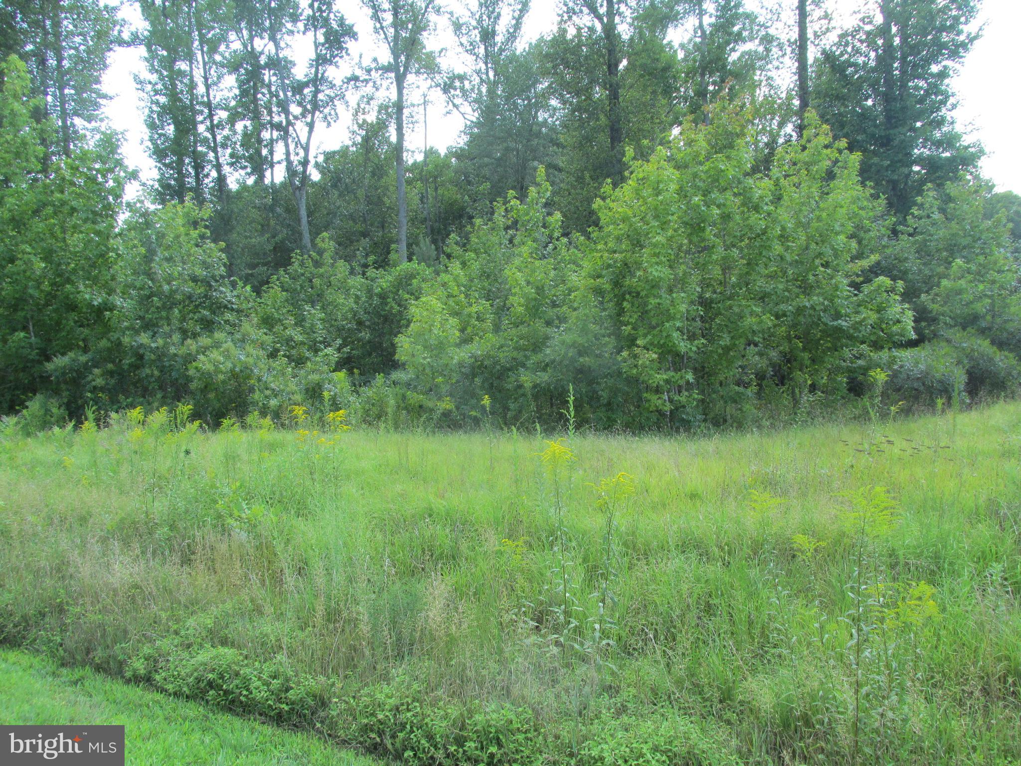 Blue Sky Way Bumpass, VA 23024 - Photo 3 of 4 a view of a lush green forest
