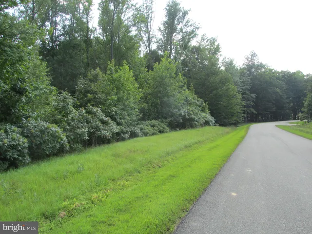 a view of a back yard