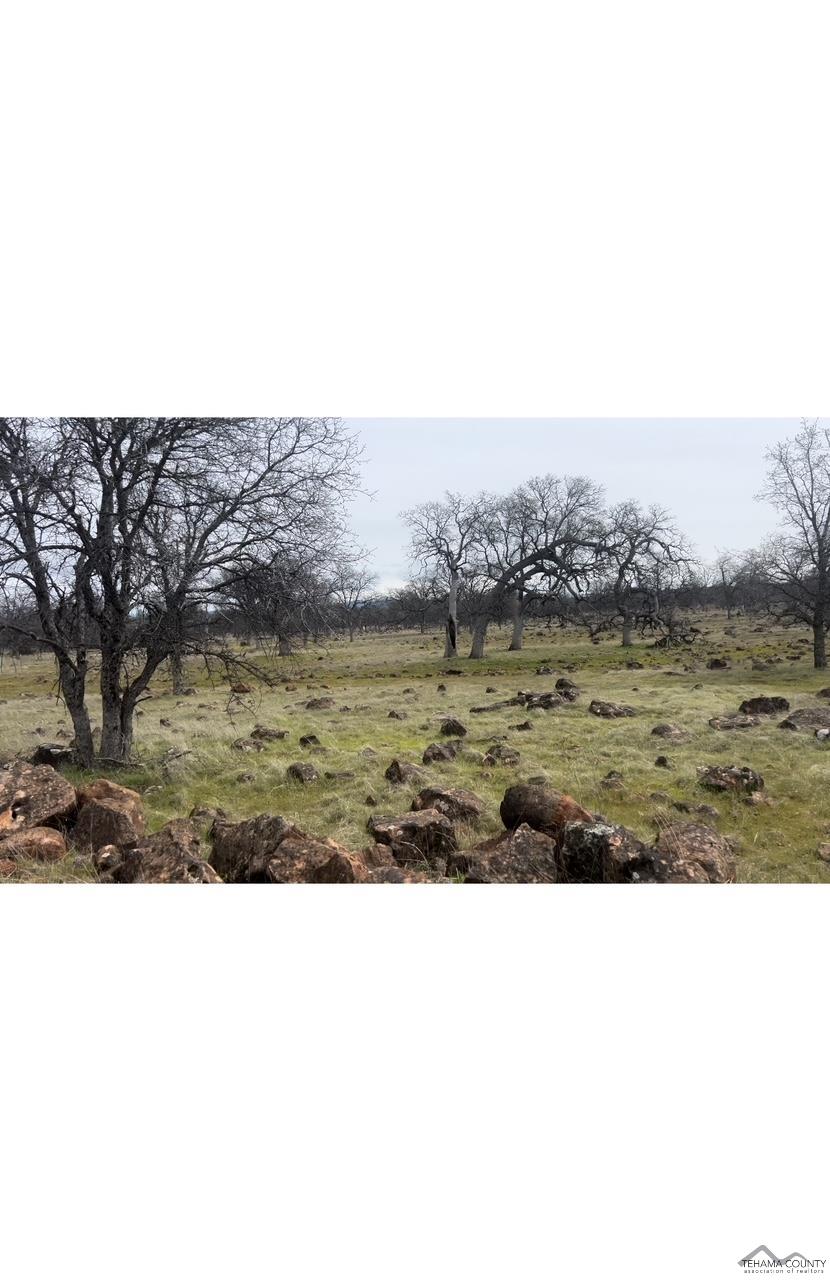 Buffalo Road Anderson, CA 96007 - Photo 5 of 8