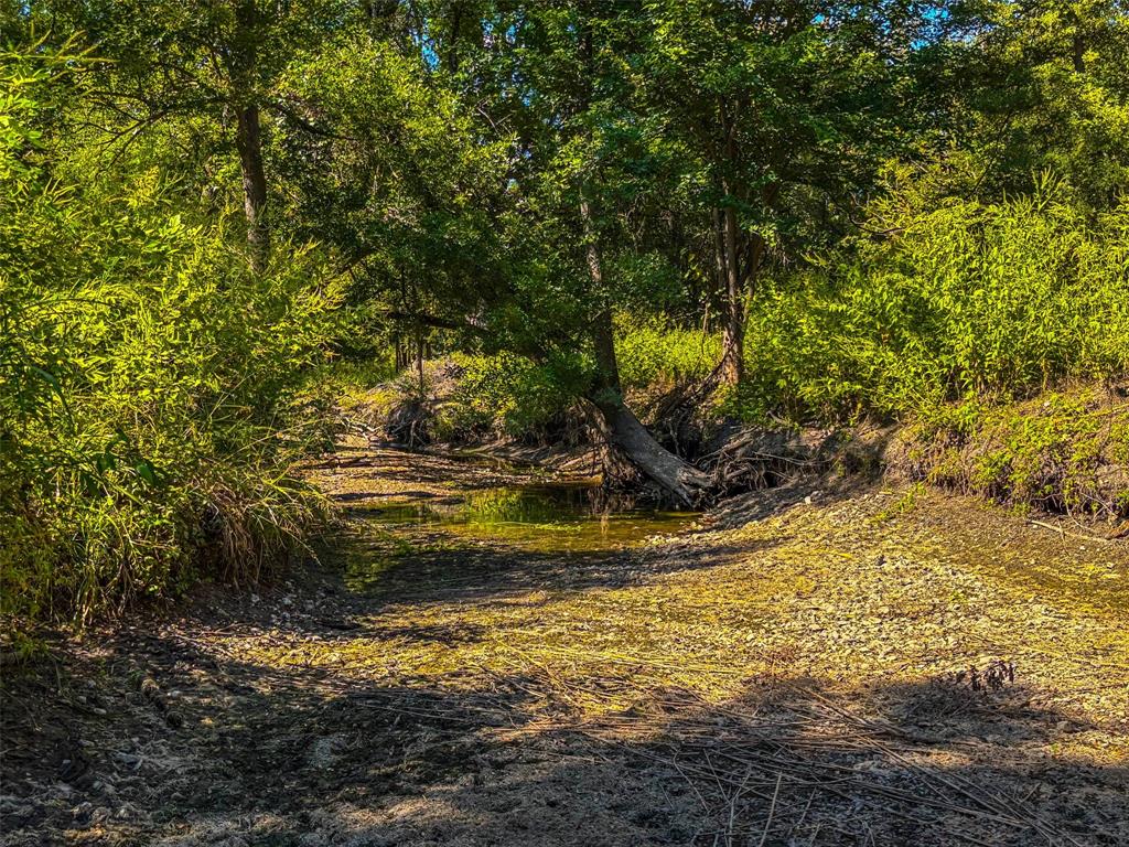 Unk Round Hall Road Holland, TX 76534 - Photo 15 of 27 a view of a tree with a yard