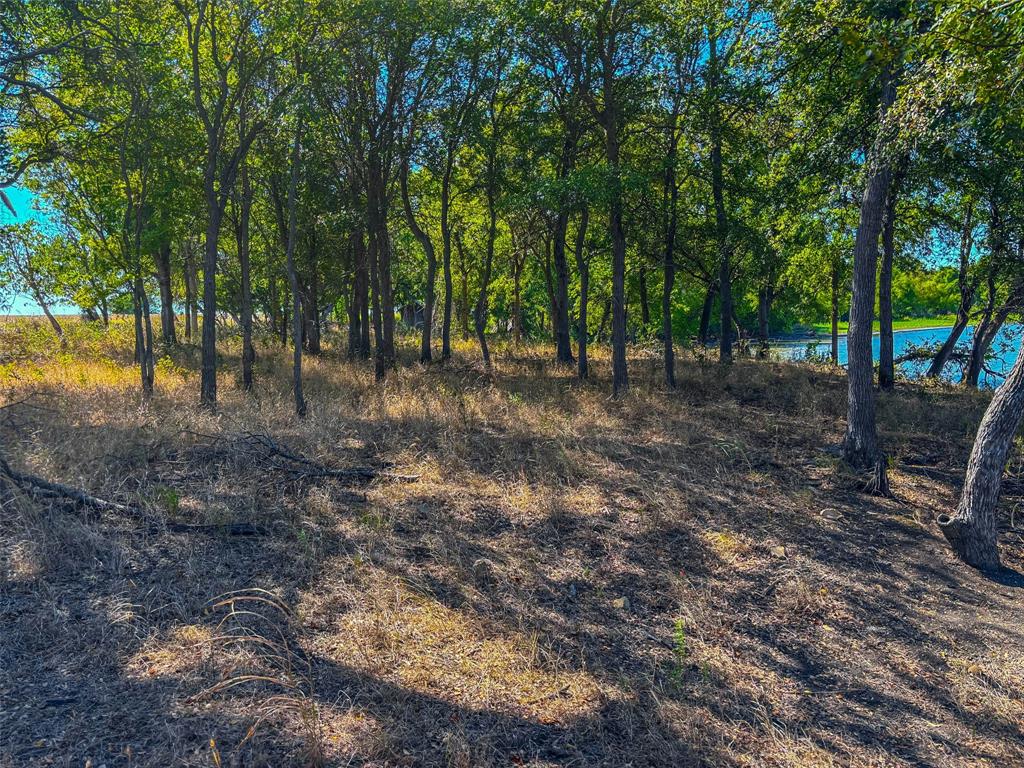 Unk Round Hall Road Holland, TX 76534 - Photo 16 of 27 a view of a forest with trees in the background