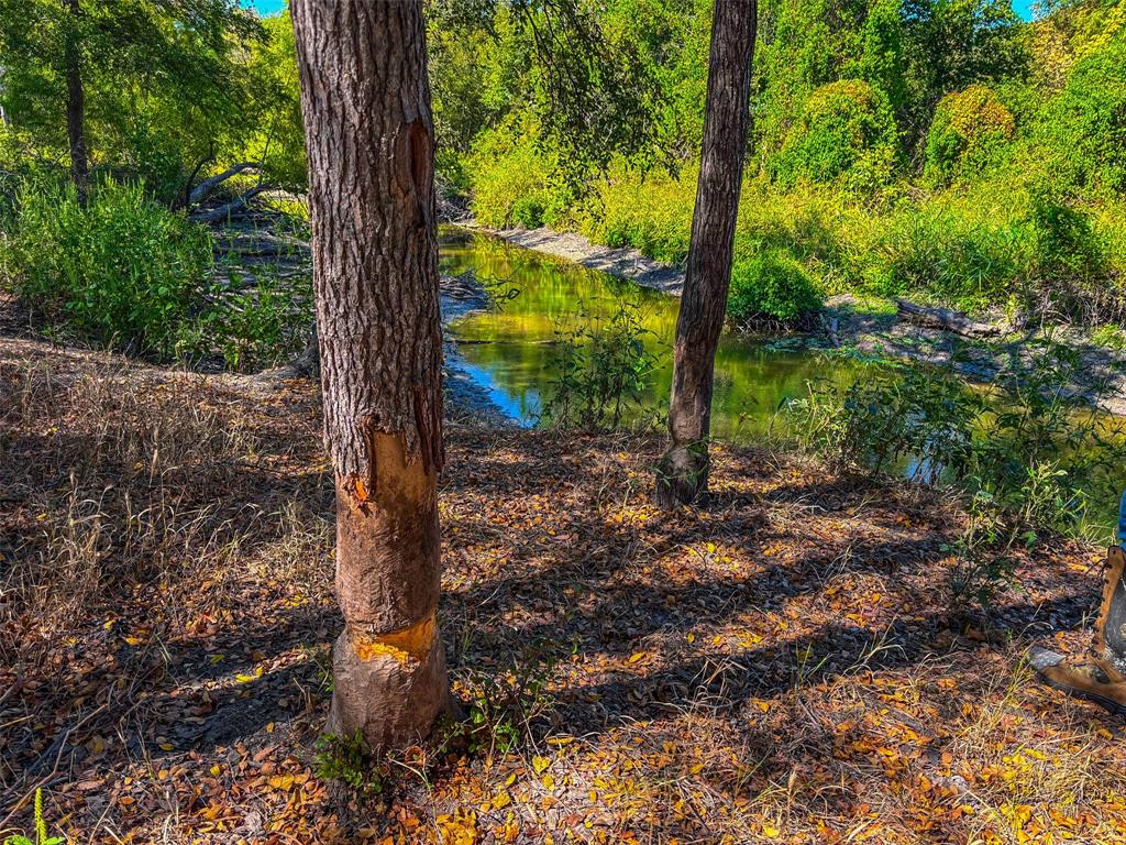 Unk Round Hall Road Holland, TX 76534 - Photo 17 of 27 a view of a yard with plants