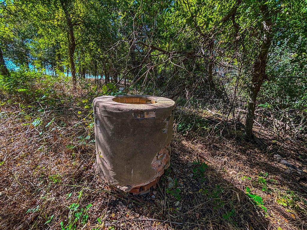 Unk Round Hall Road Holland, TX 76534 - Photo 18 of 27 a view of a forest filled with trees