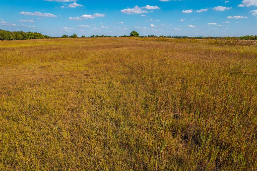 Unk Round Hall Road Holland, TX 76534 - Photo 4 of 27 a view of an ocean