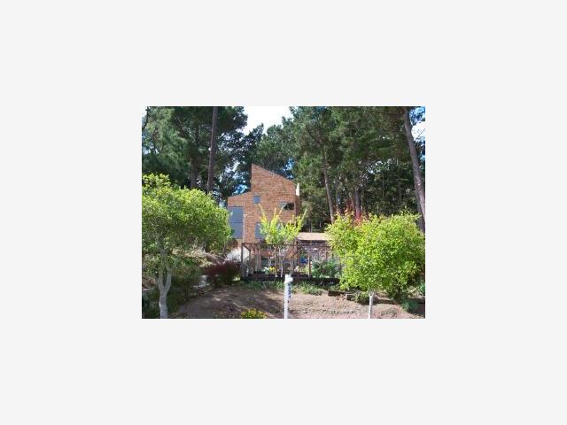 a picture of a person on a street