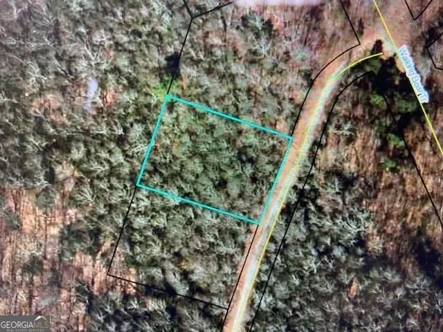 a close up of a tree