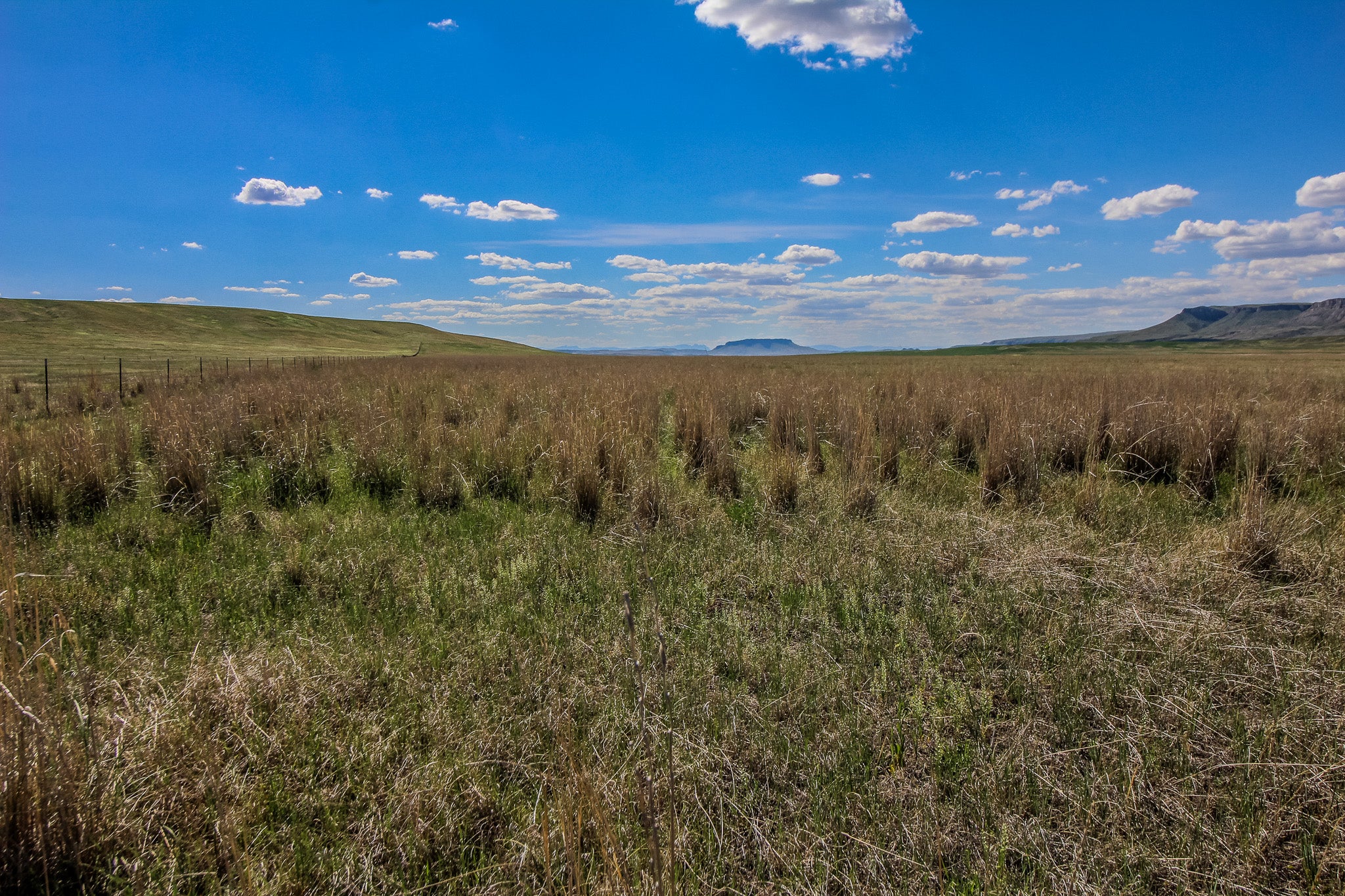 29 Old Ulm Cascade Road Cascade, MT 59421 - Photo 1 of 7 Gallery Image 1