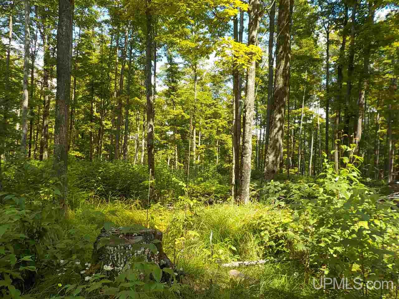 80-ac Mcclaren Road Crystal Falls, MI 49920 - Photo 4 of 27