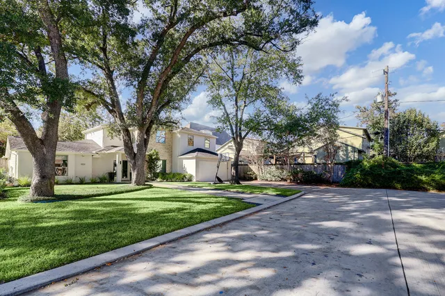 a tall tree in middle of green field