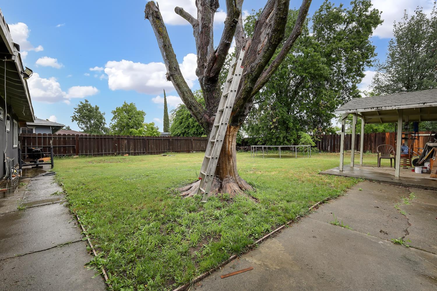 3132 4th Street Biggs, CA 95917 - Photo 4 of 21 a view of a park with large trees