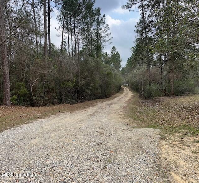 15429 Indian Fork Road Vancleave, MS 39565 - Photo 39 of 63 Road Through Property
