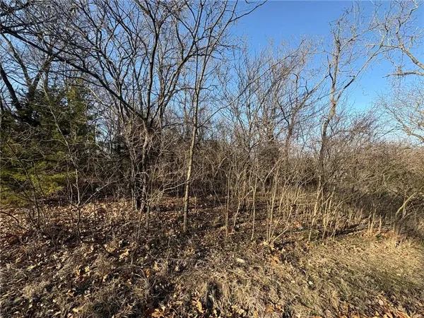 $14,999 | 5 Shady Hollow Drive, Linn Valley, KS 66040