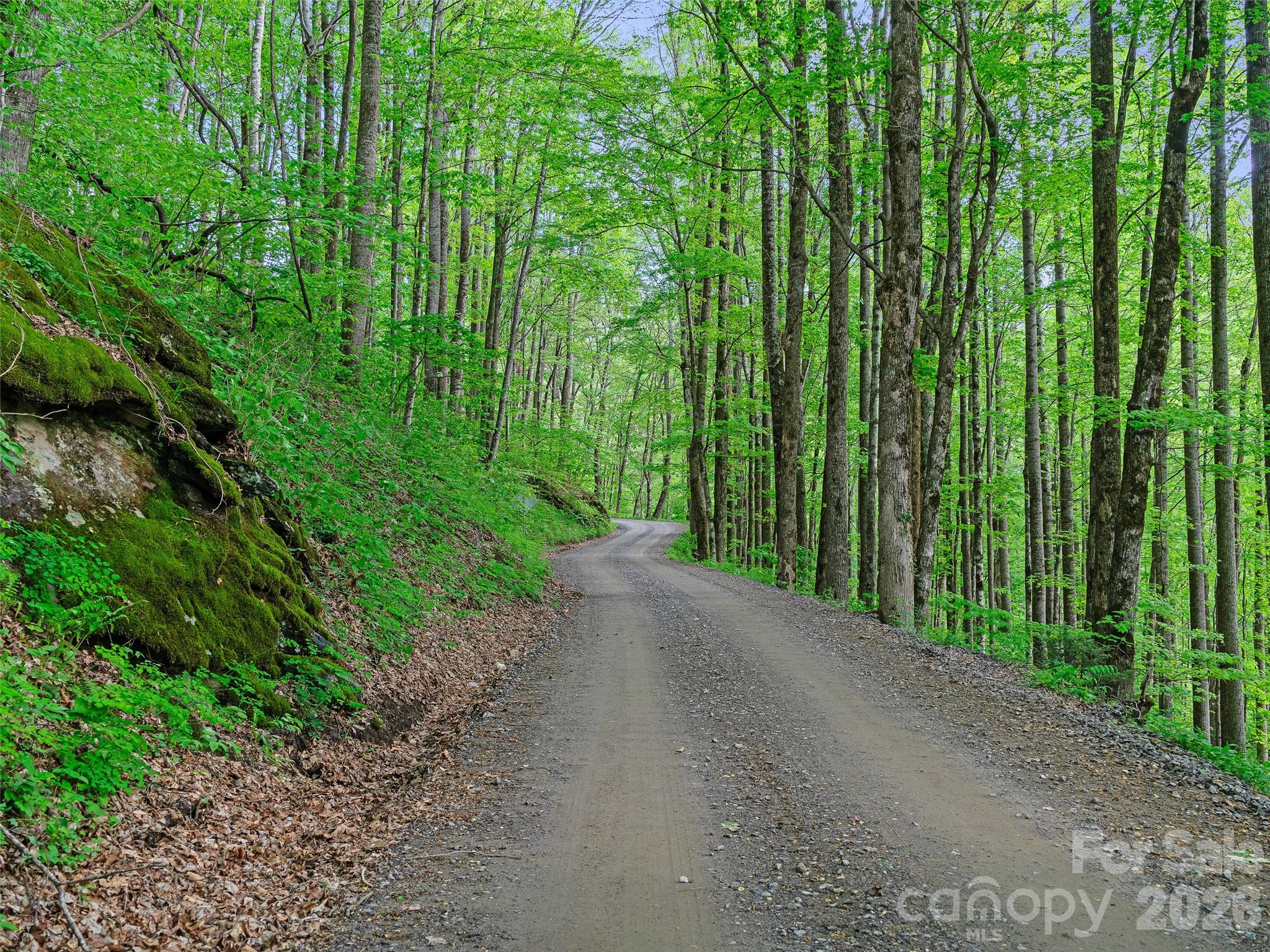 1161 Deep Gap Road Burnsville, NC 28714 - Photo 6 of 14