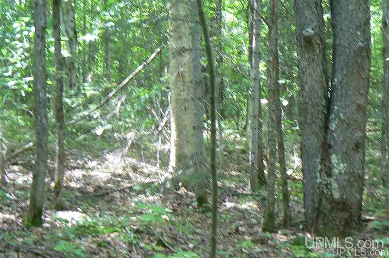 Tbd Finn's Spur Road Eben Junction, MI 49825 - Photo 4 of 7