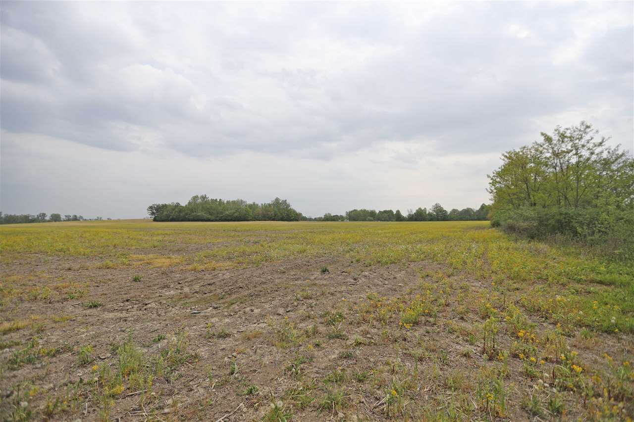 900-block East Riggin Road Muncie, IN 47303 - Photo 3 of 3