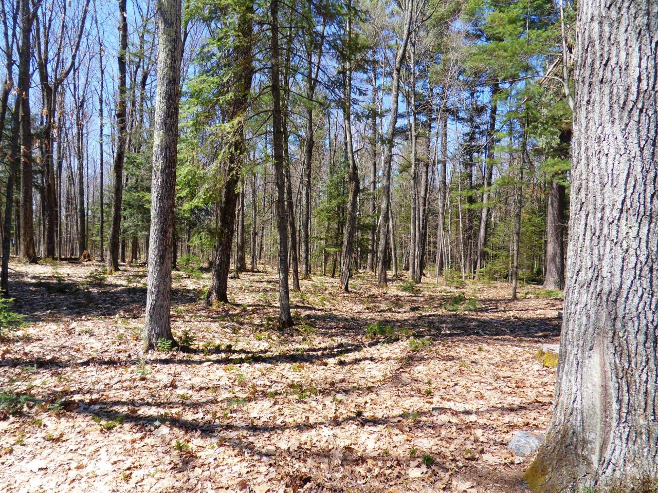 3568 Cth C Rhinelander, WI 54501 - Photo 20 of 24 Gallery Image 20