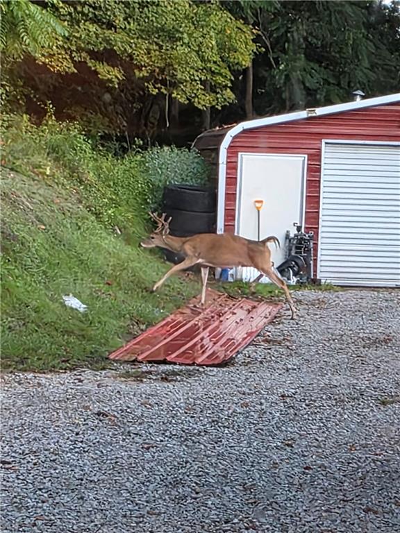 225 Old Ferry Rices Landing, PA 15357 - Photo 28 of 30 a view of a backyard with a garden