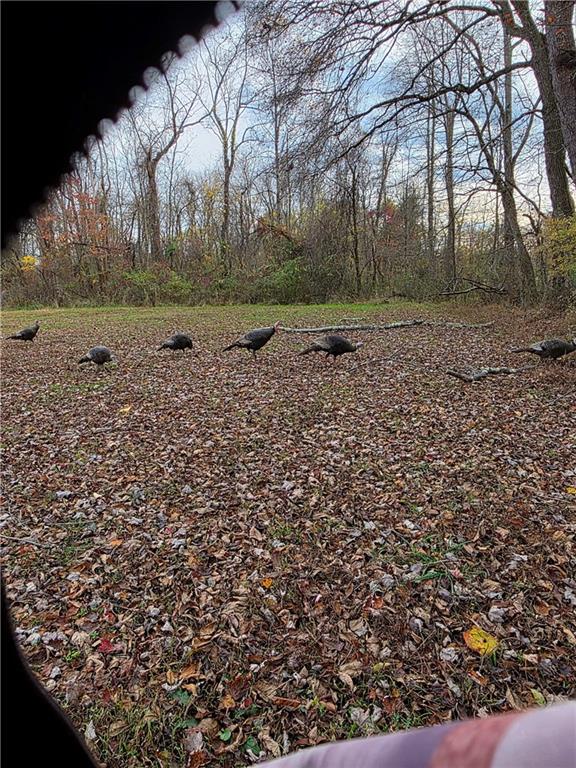 225 Old Ferry Rices Landing, PA 15357 - Photo 29 of 30 a view of a green field