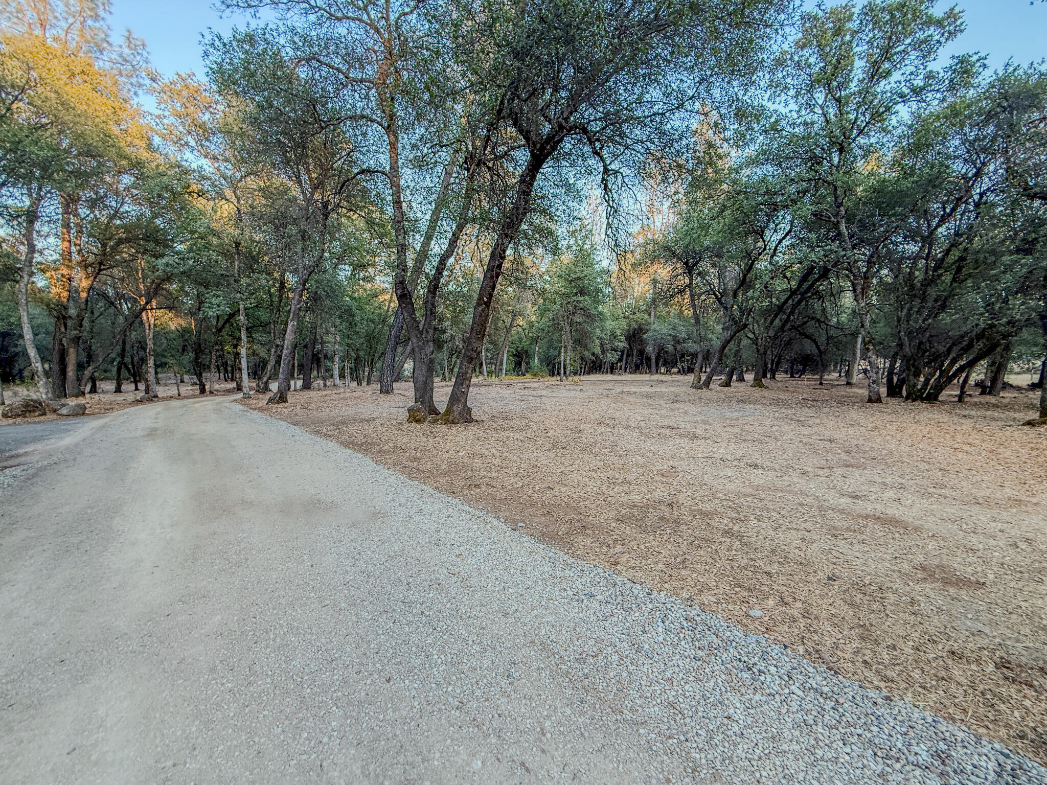 14150 Bear Mountain Road Redding, CA 96003 - Photo 19 of 47 bear mountain-53