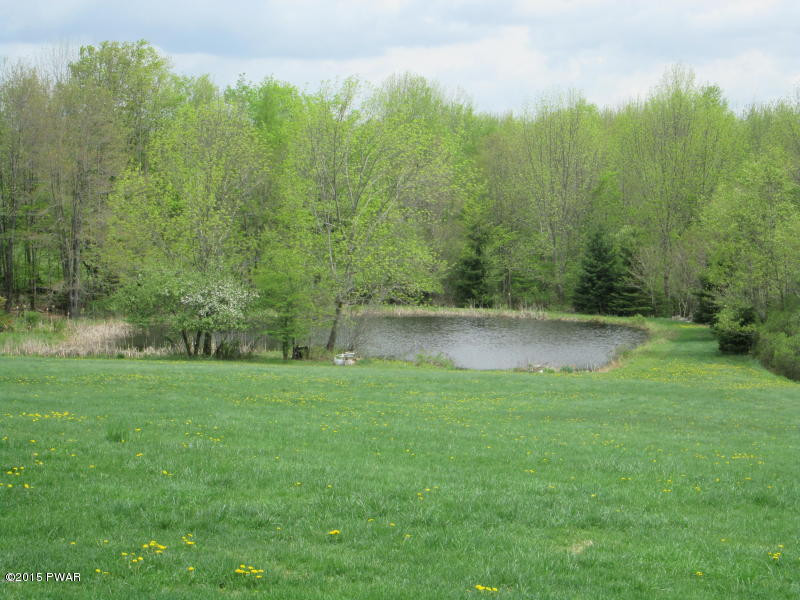 388 Pleasant Valley Road Starlight, PA 18461 - Photo 20 of 21