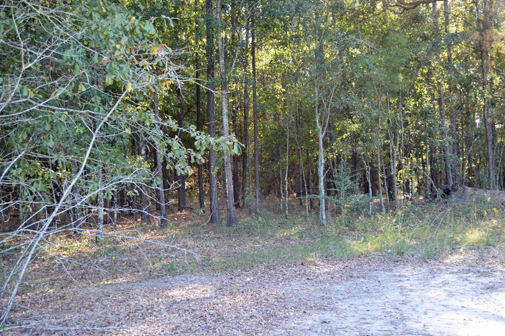 0 Greenhouse Road Gordon, AL 36343 - Photo 37 of 38