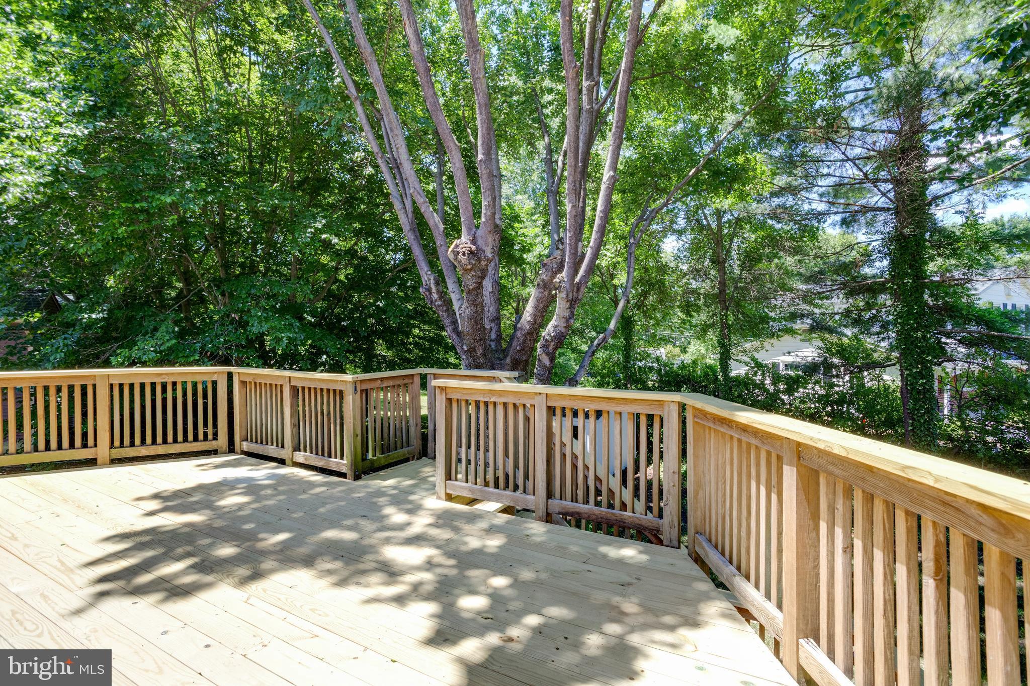4618 Guinea Road Fairfax, VA 22032 - Photo 23 of 59