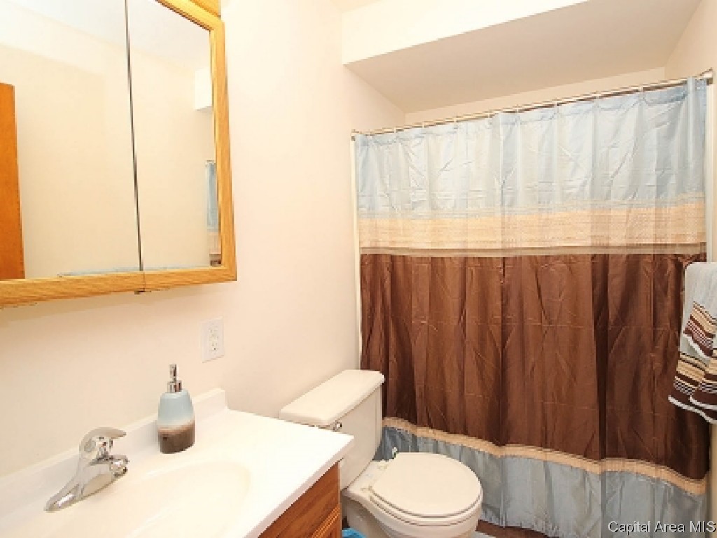 1628 Reed Avenue Springfield, IL 62704 - Photo 10 of 22 Gallery Image 10